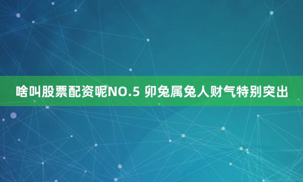 啥叫股票配资呢NO.5 卯兔属兔人财气特别突出