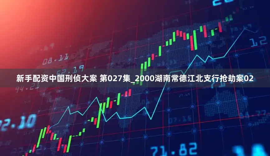 新手配资中国刑侦大案 第027集_2000湖南常德江北支行抢劫案02