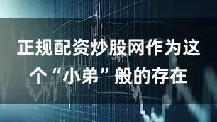 正规配资炒股网作为这个“小弟”般的存在